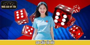 Soi Cầu Tài Xỉu