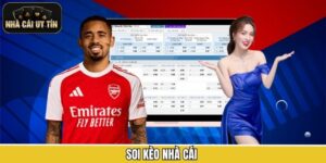 Soi Kèo Nhà Cái