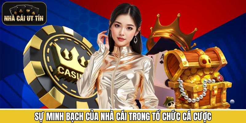 Sự minh bạch của nhà cái trong tổ chức cá cược