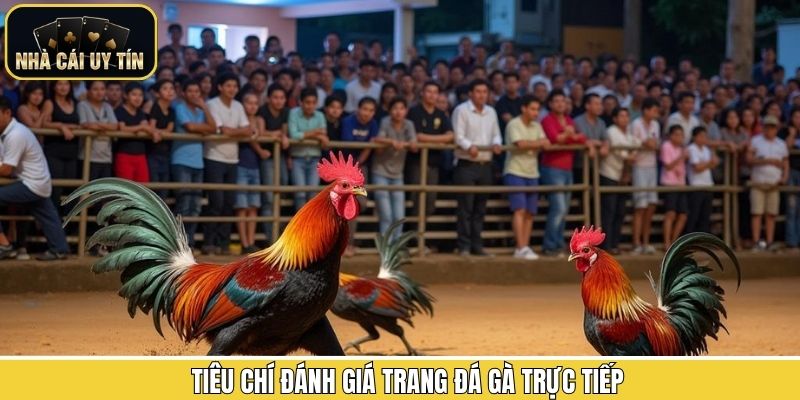 Tiêu chí để lựa chọn thương hiệu cá cược đá gà uy tín