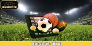 Trang Cá Cược Thể Thao - Top 4 Địa Chỉ Có Tỷ Lệ Kèo Tốt Nhất