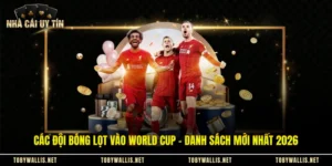 Các Đội Bóng Lọt Vào World Cup - Danh Sách Mới Nhất 2026