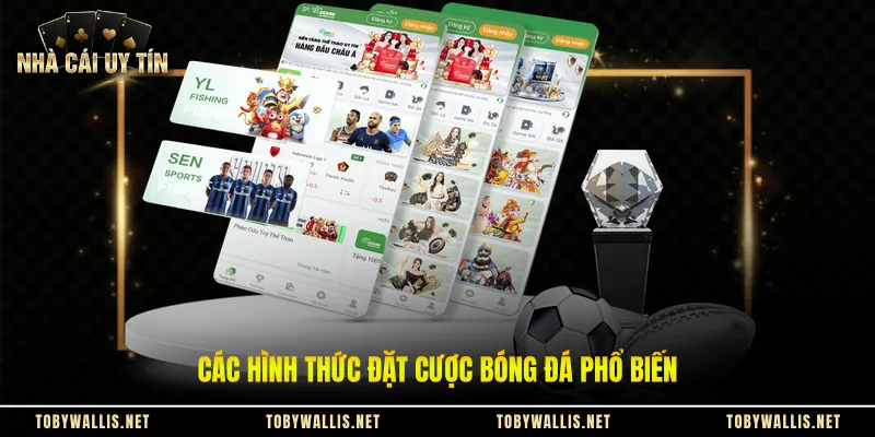 Các hình thức đặt cược bóng đá phổ biến