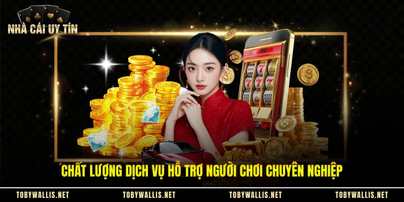 Chất lượng dịch vụ hỗ trợ người chơi chuyên nghiệp