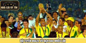 Đội Tuyển Brazil Vô Địch Bao Nhiêu Lần Với Top 1 World Cup