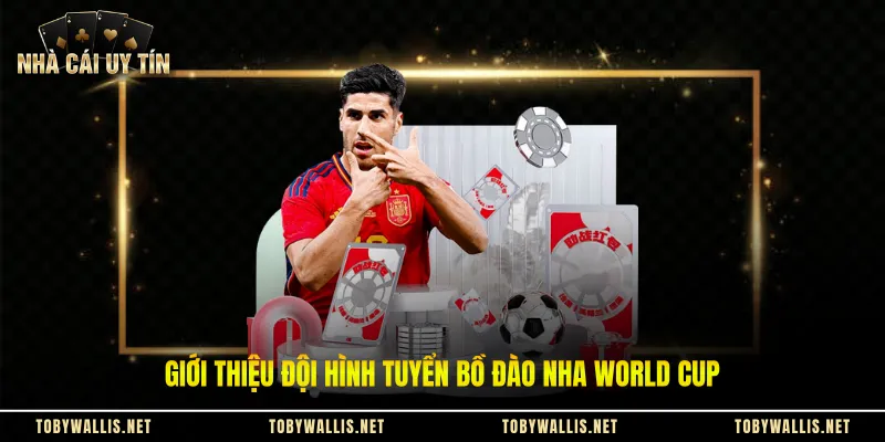 Giới thiệu đội hình tuyển Bồ Đào Nha World Cup