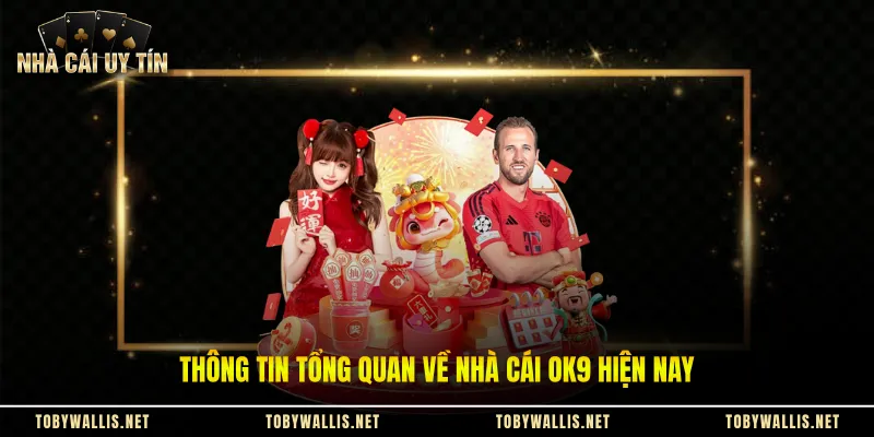 Thông tin tổng quan về nhà cái Ok9 hiện nay