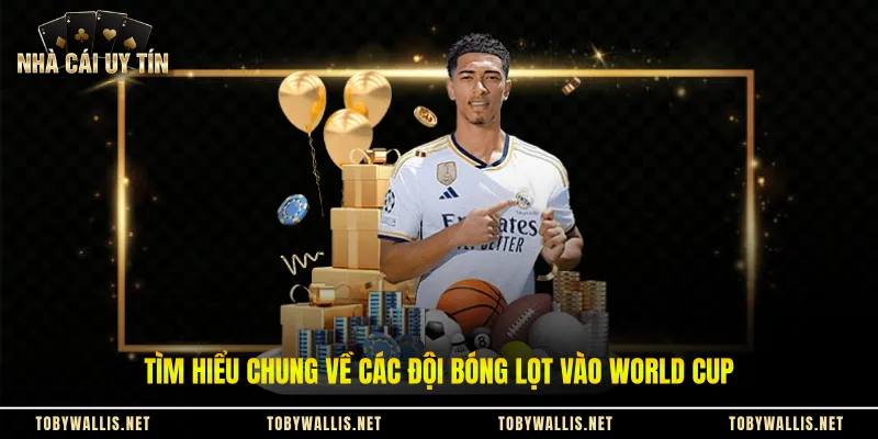 Tìm hiểu chung về các đội bóng lọt vào World Cup