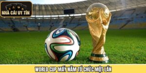 Giải Đáp Chi Tiết Kỳ World Cup Mấy Năm Tổ Chức Một Lần